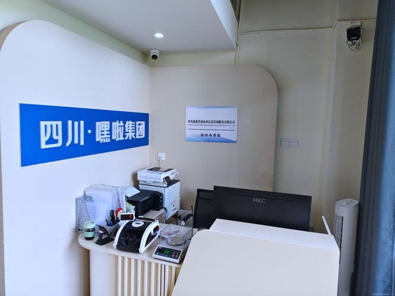 IT咨询服务误区警示
